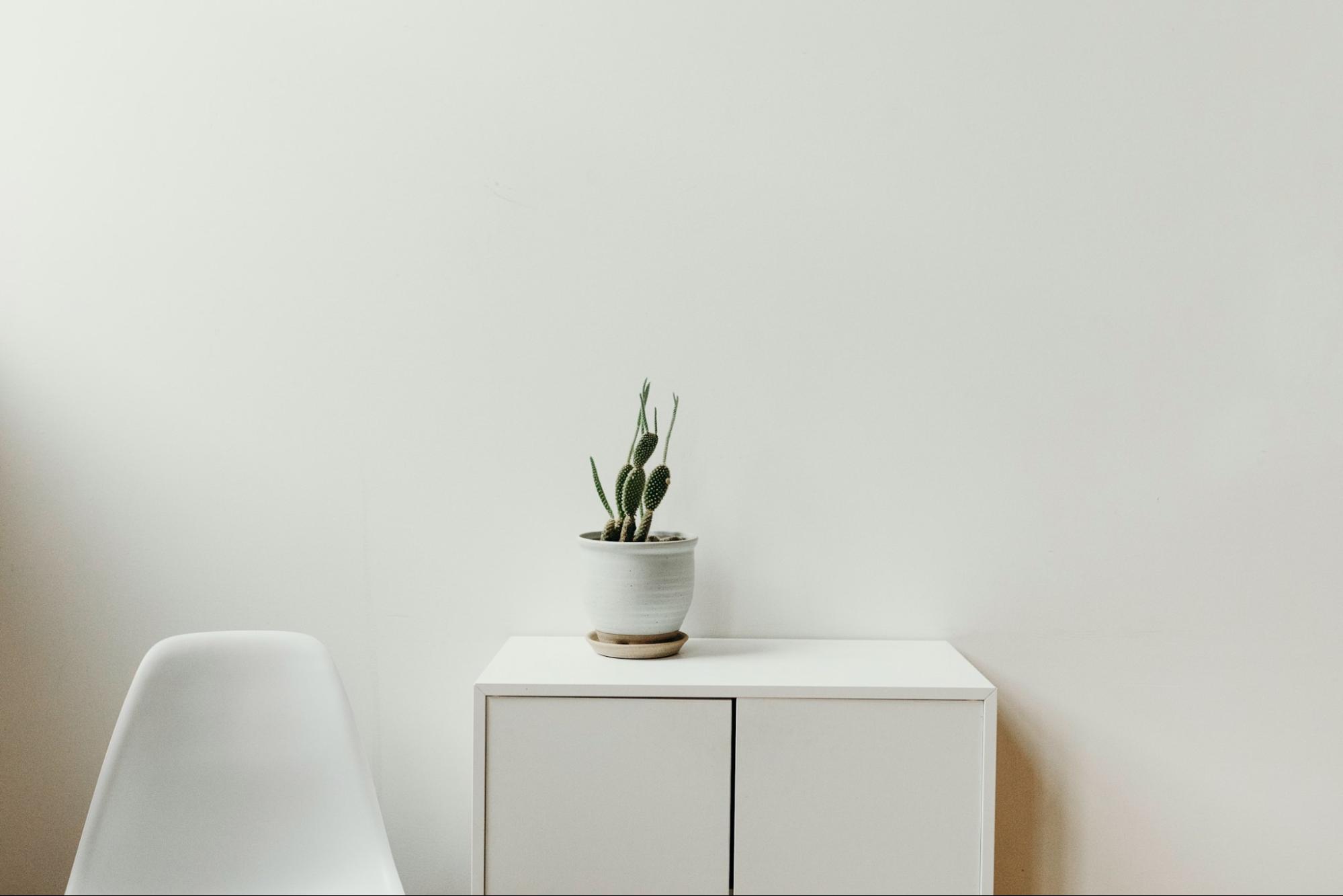 Источник: Unsplash